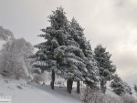 2017-12-29 V. del Morretano 006